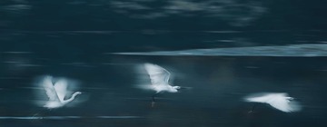幻影～