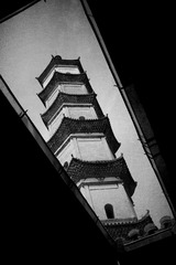 DSC_3570_