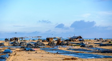 _DSC4587