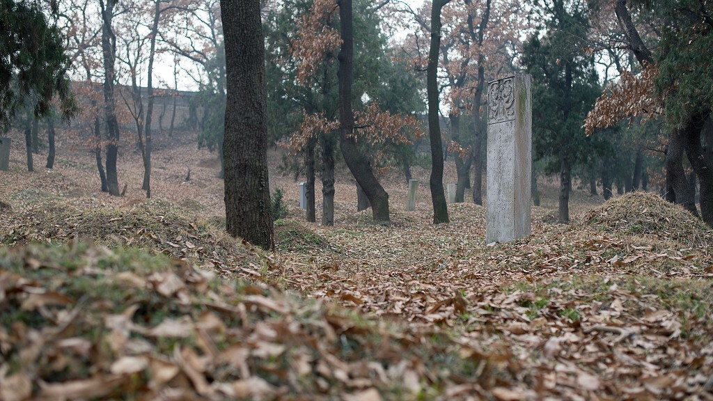 孔林，孔家墓地