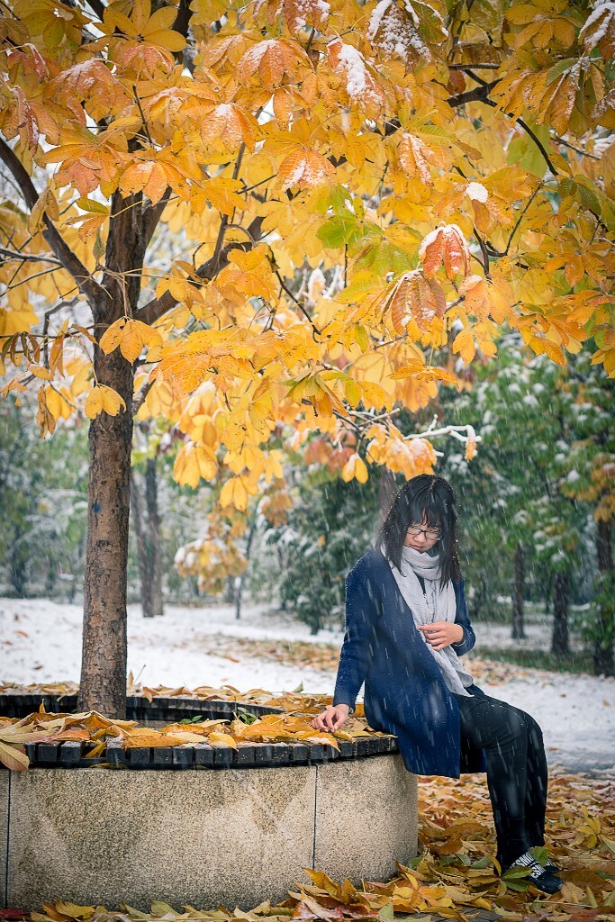 十一月。<br />
初雪。终于又一次如愿的拍了人像。