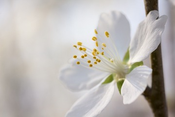 0IMG_3231s