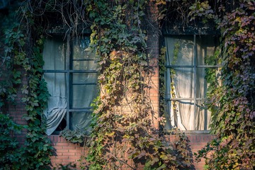 0DSC_2127s