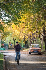 0DSC_1223s