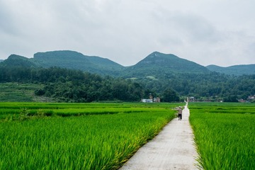 USO_5104
