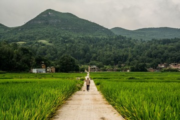 USO_5106