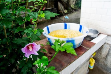USO_6617