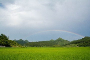 USO_7042