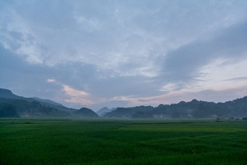 USO_7417