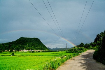 USO_7420