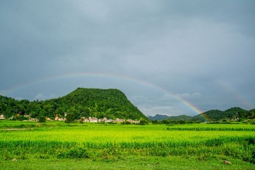 USO_7425