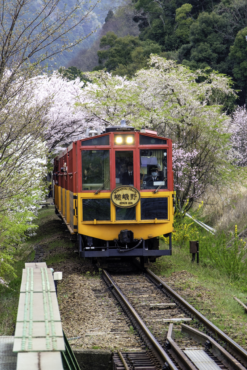 日本嵯峨野小火车
