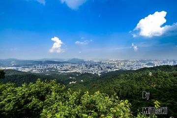 _DSF7612