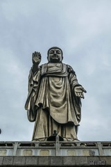 _DSF7659