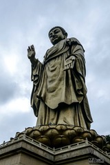 _DSF7667