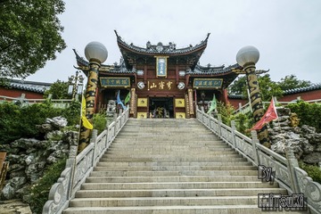 _DSF7737