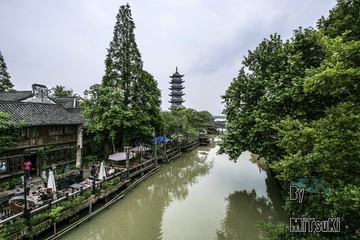 _DSF7819
