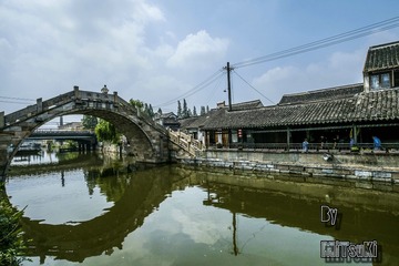 _DSF7926