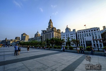 _DSF7971