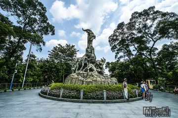 _DSF8639