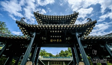 _DSF8916