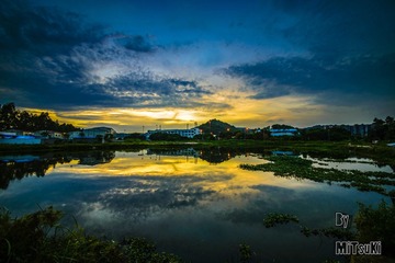 _DSC0314