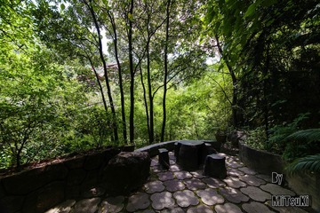 _DSC1750_DxOFP
