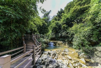 _DSC1755_DxOFP