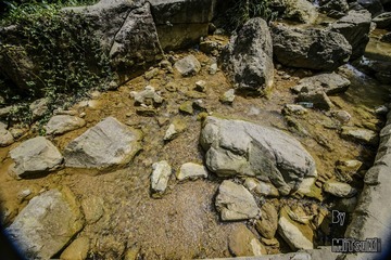 _DSC1759_DxOFP