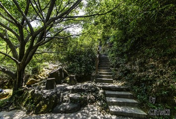 _DSC1760_DxOFP