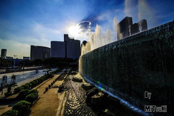 _DSC2041