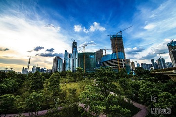 _DSC2132