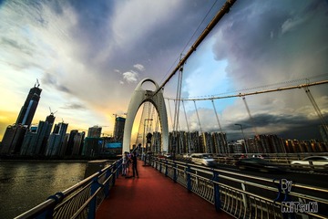_DSC2183