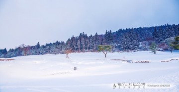 _DSC2565
