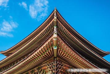 _DSC2610