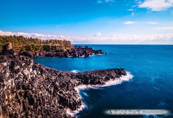 _DSC2647