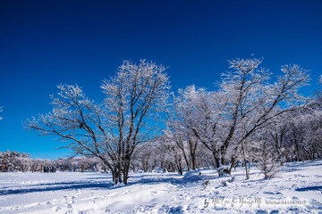 _DSC2834
