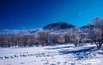 _DSC2871