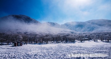 _DSC2877