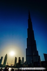 _DSF6232