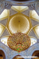 _DSF6296
