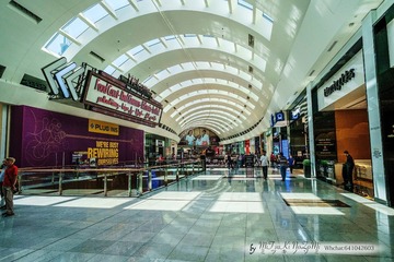 _DSF6619