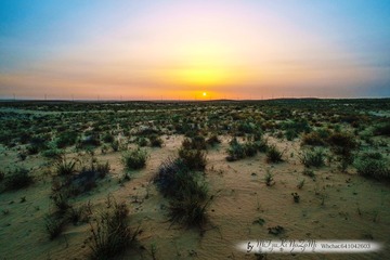 _DSF6664