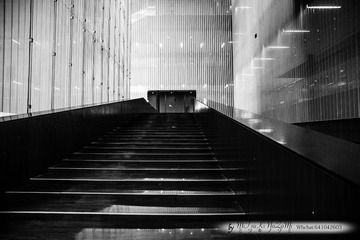 _DSC3067