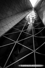 _DSC3082