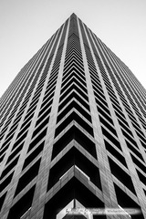 _DSC3088