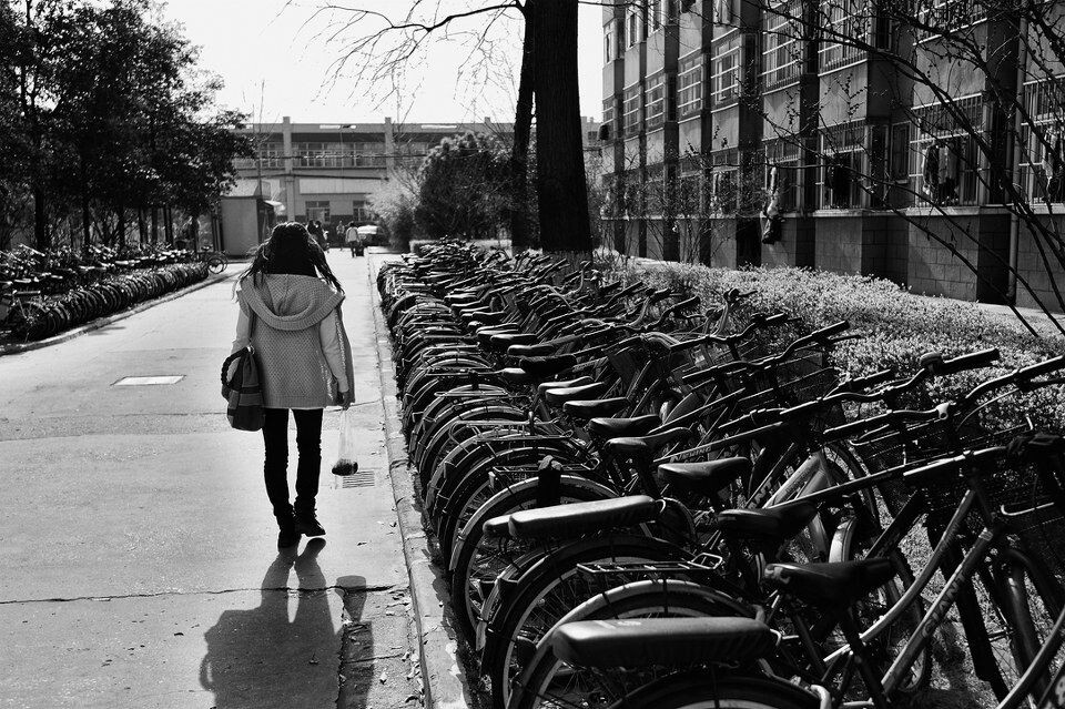 在路上<br />
离开南林的路上