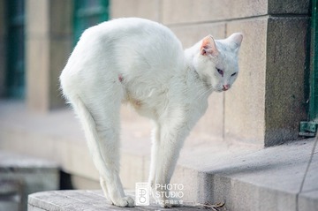 _DSC1259