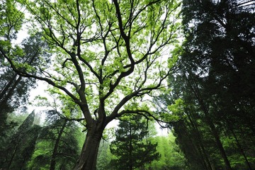 _DSC7129.jpg
