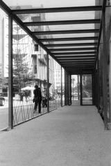 Scan-121209-0011.jpg
